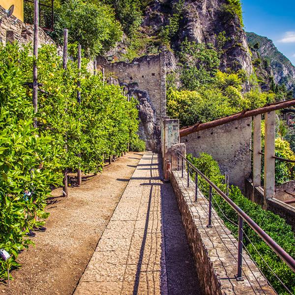 Yellow Team Rent Boat - Limonaia del Castel, Limone sul Garda